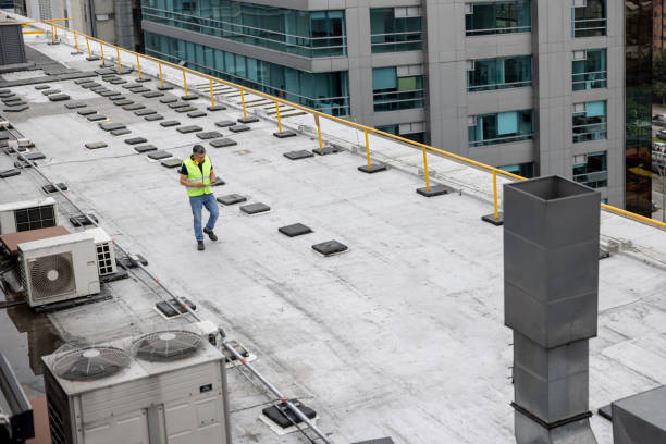 Best Roof Coating and Sealing  in Morton Grove, IL
