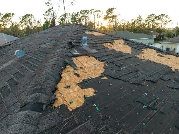 Best Tile Roofing Installation  in Morton Grove, IL