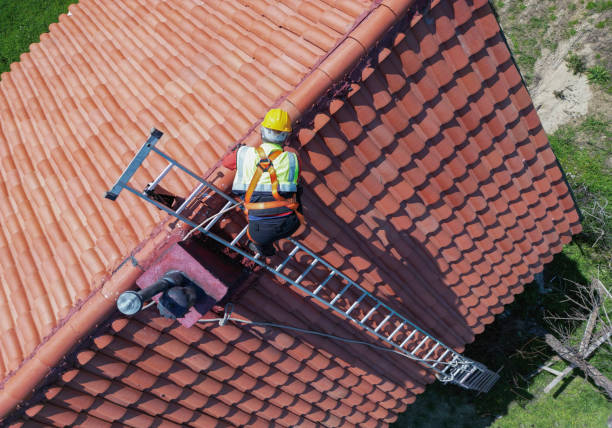 Steel Roofing in Morton Grove, IL