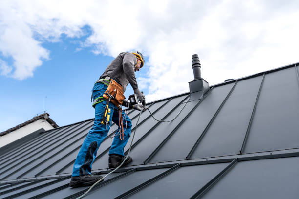 Best Skylight Installation and Repair  in Morton Grove, IL